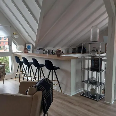 Duplex Josephine Climatise * Horbourg