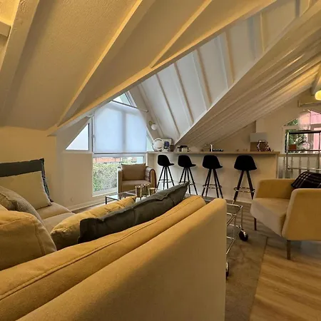 Duplex Josephine Climatise * Horbourg